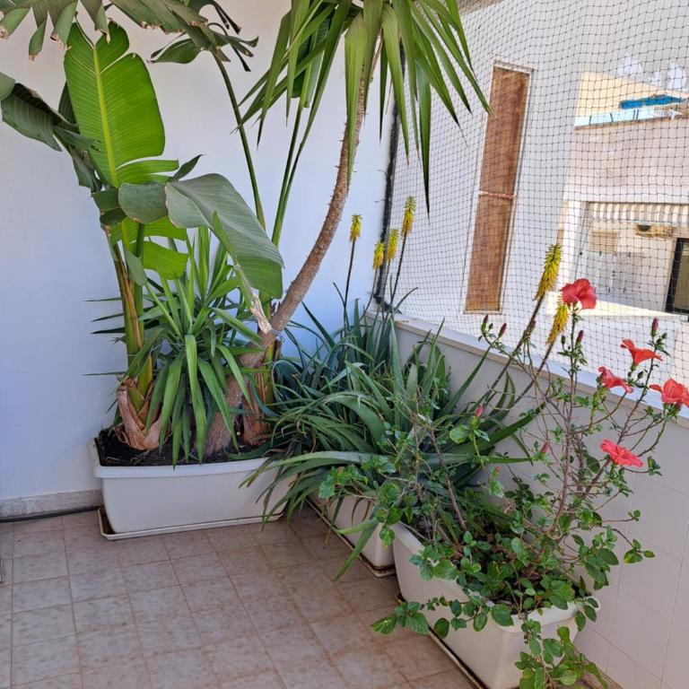 GallyBi - Appartamento con 2 Camere da Letto - 82