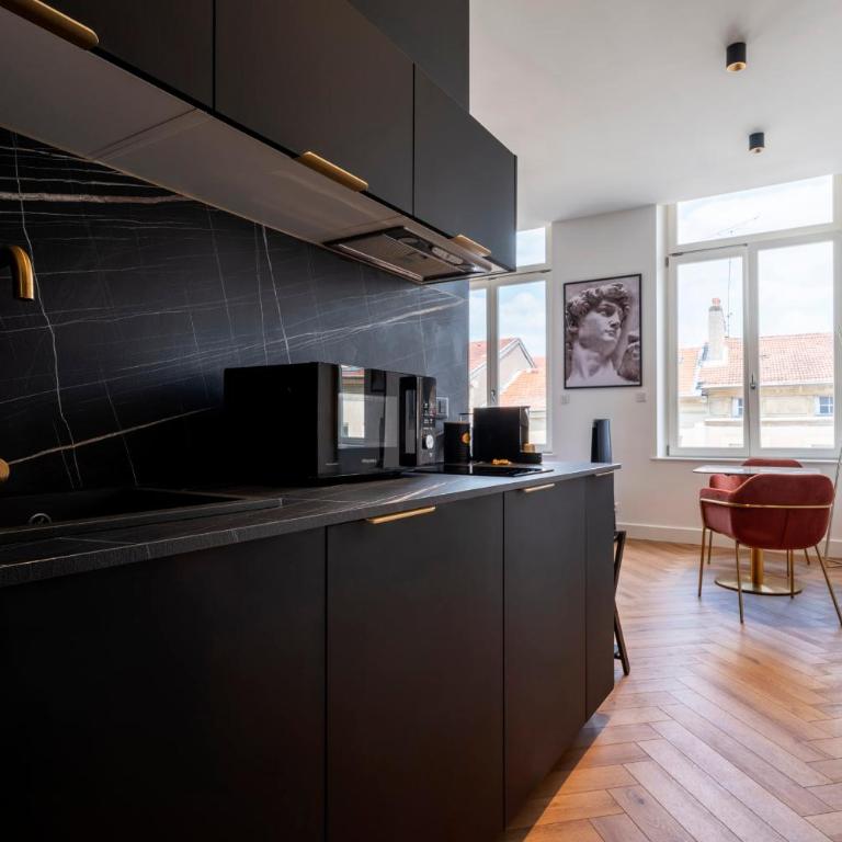 Les perchoirs de Stanislas 2 - logement de standing hyper centre - Appartement 1 Chambre - 8