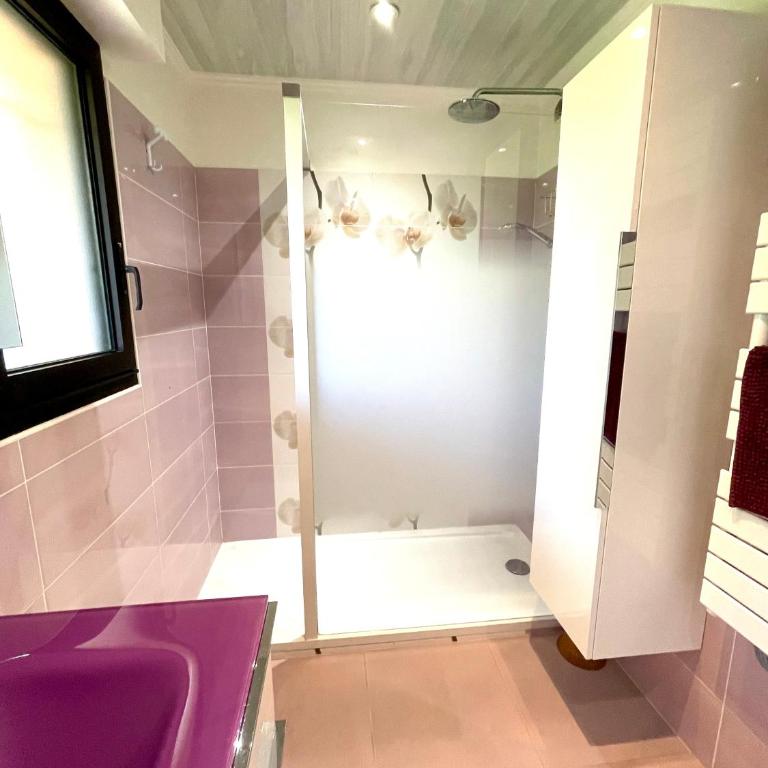 Vue Mer exceptionnelle au Grand Duc - Calme - Clim - garage - Apartment mit 2 Schlafzimmern - 15