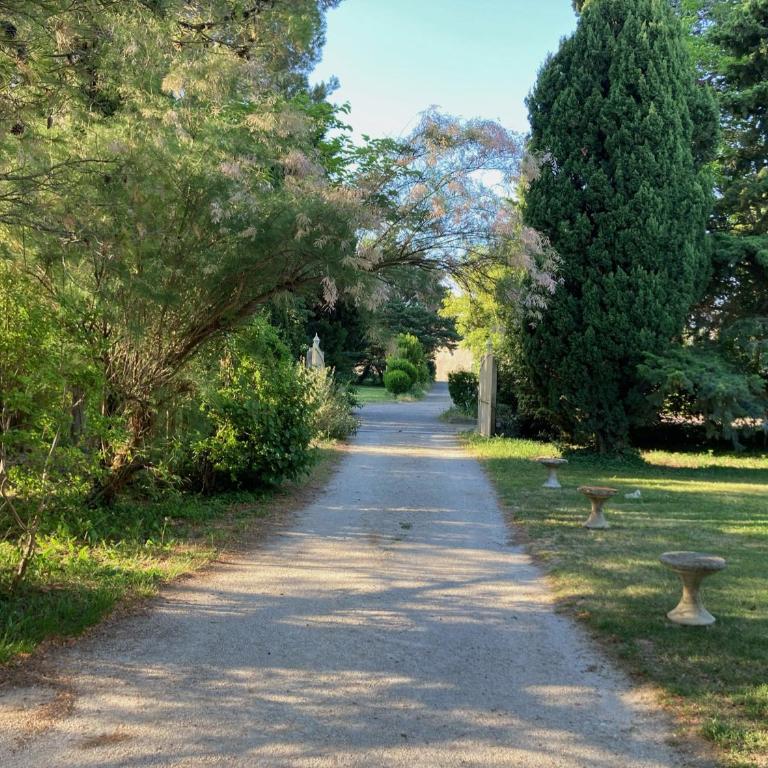 Villa 10 mins a pieds du centre de L Isle sur la Sorgue - Four-Bedroom Vacation Home - 1