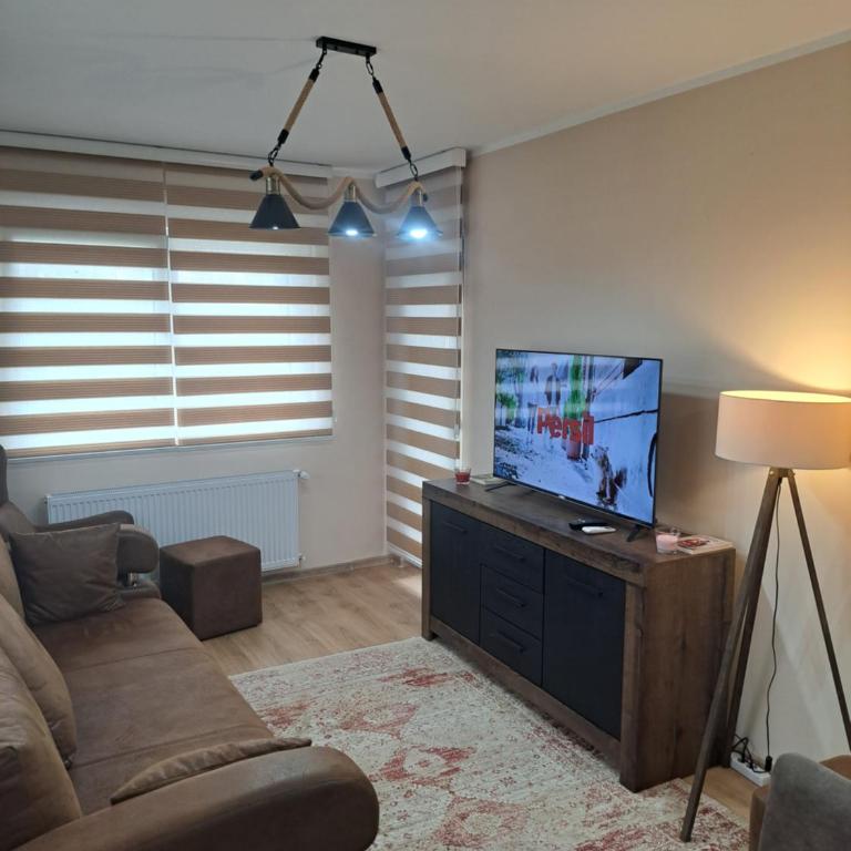 Apartman Banja Koviljaca I - One-Bedroom Apartment - 3
