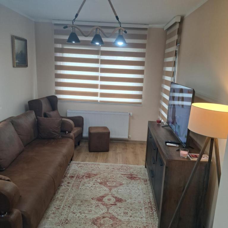 Apartman Banja Koviljaca I - One-Bedroom Apartment - 4