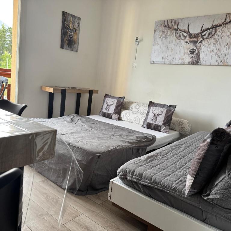 Appart 5-6 pers Superdevoluy, au pied des pistes - Apartment - 3