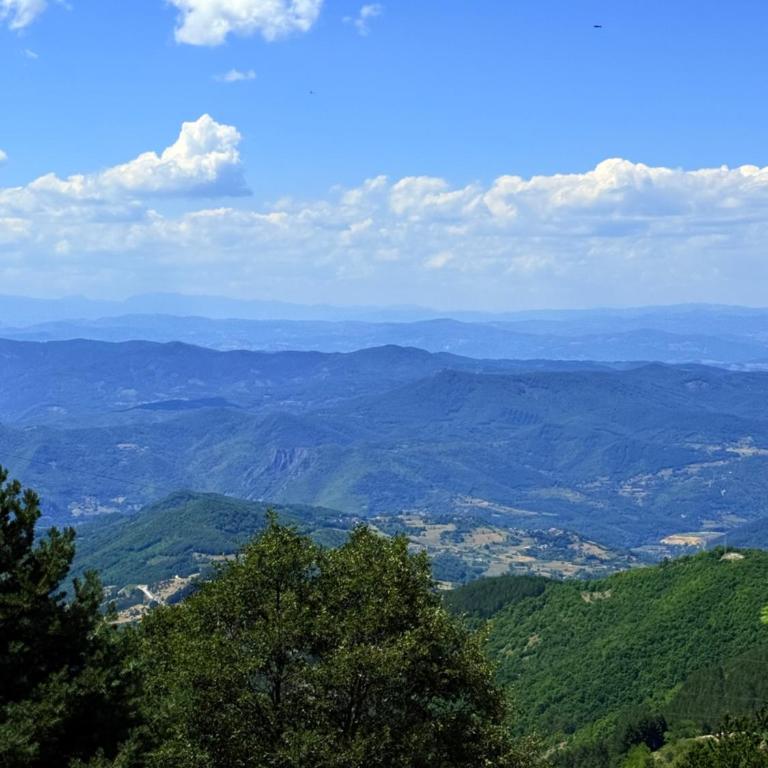 Woodland B65 Residence Hill Kopaonik - Apartman sa 1 Spavaćom Sobom - 18