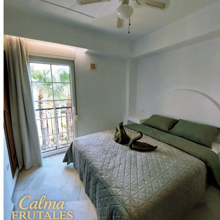Calma FRUTALES Apartment - Two-Bedroom Apartment - 5