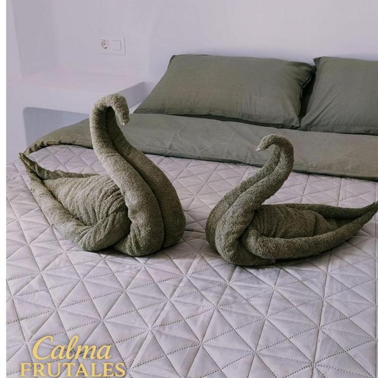 Calma FRUTALES Apartment - Two-Bedroom Apartment - 6