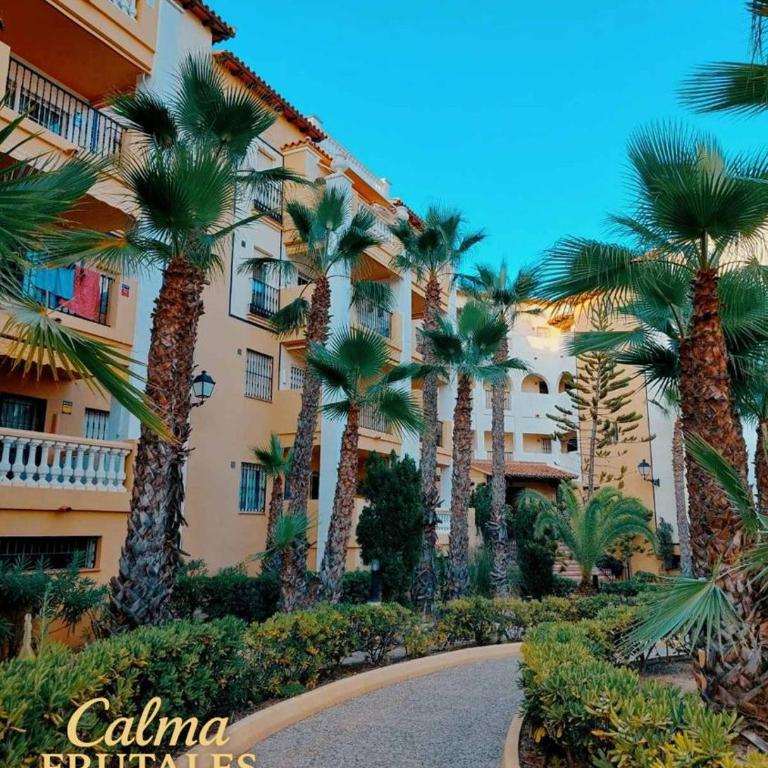 Calma FRUTALES Apartment - Two-Bedroom Apartment - 9