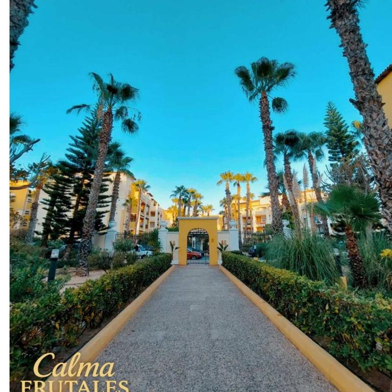 Calma FRUTALES Apartment - Two-Bedroom Apartment - 13