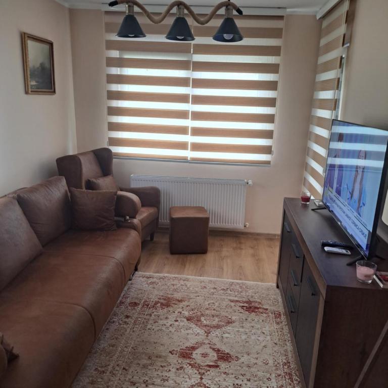 Apartman Banja Koviljaca I - One-Bedroom Apartment - 5