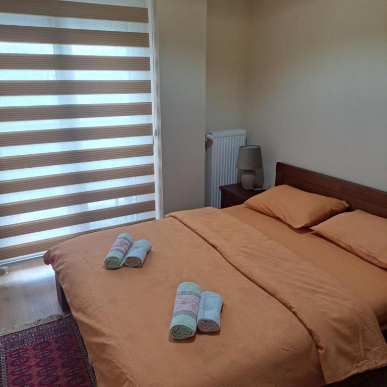 Apartman Banja Koviljaca I - One-Bedroom Apartment - 9