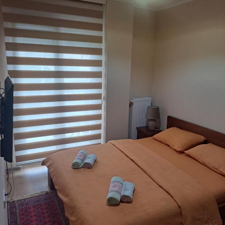 Apartman Banja Koviljaca I - One-Bedroom Apartment - 10
