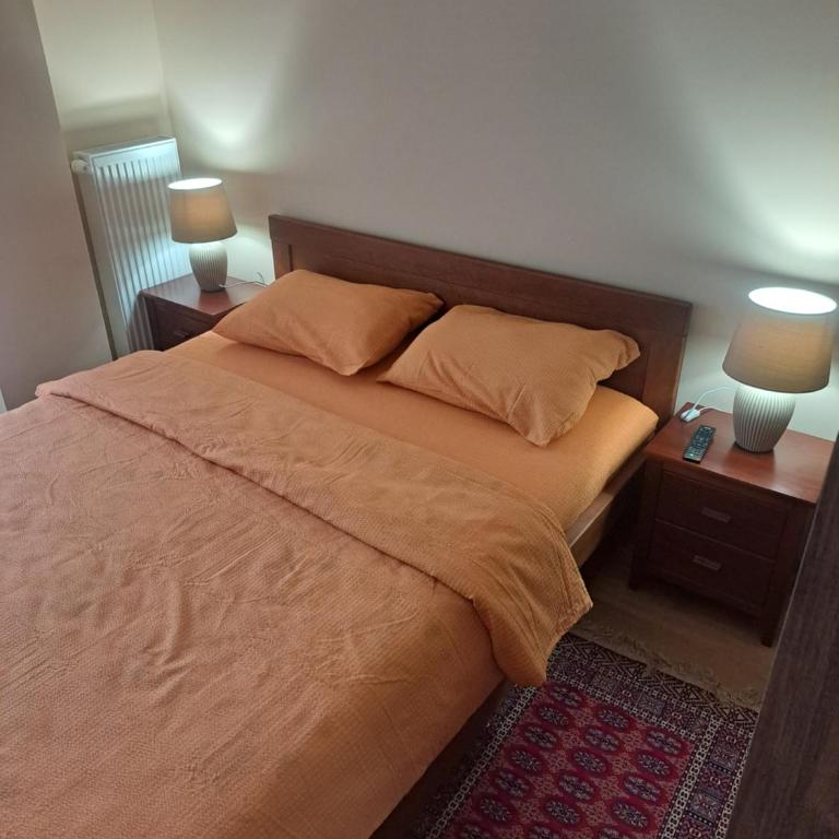 Apartman Banja Koviljaca I - One-Bedroom Apartment - 11