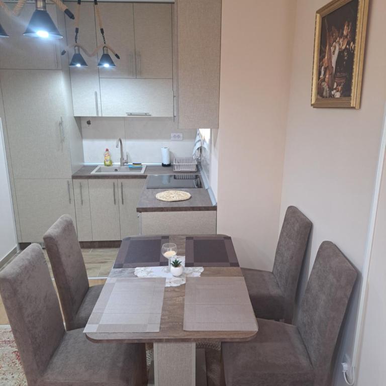 Apartman Banja Koviljaca I - One-Bedroom Apartment - 17