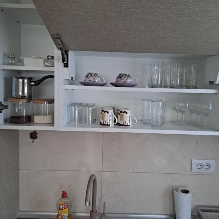 Apartman Banja Koviljaca I - One-Bedroom Apartment - 22
