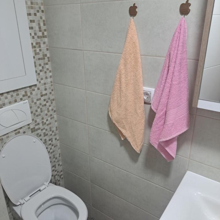 Apartman Banja Koviljaca I - One-Bedroom Apartment - 26