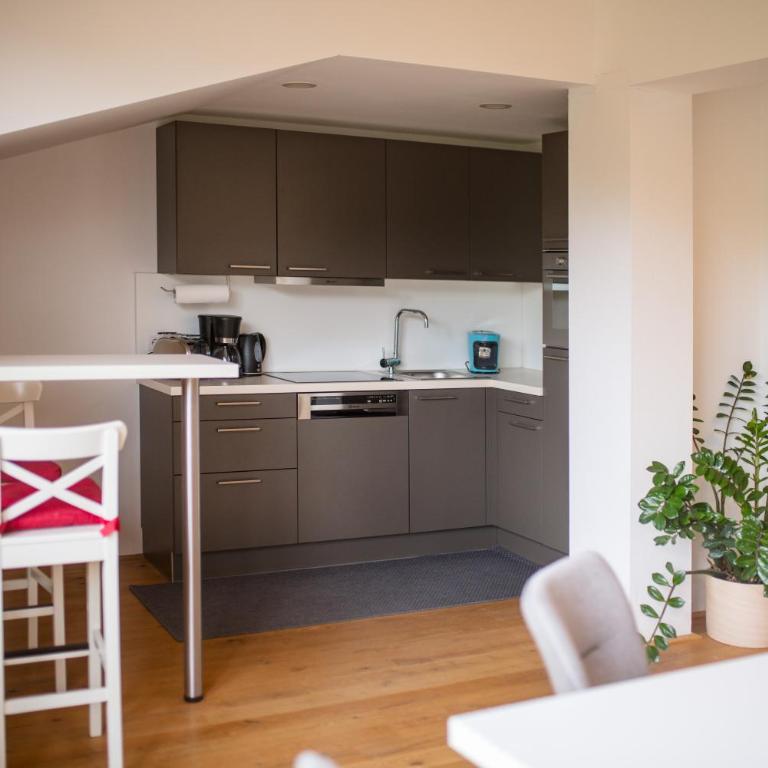 Ramsau Appartements Pickl - Appartamento con Vista Montagna - 2