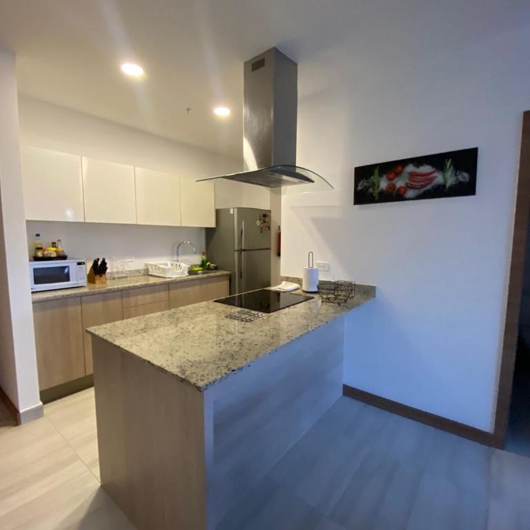 Premium Suite República del Salvador - One-Bedroom Apartment - 5