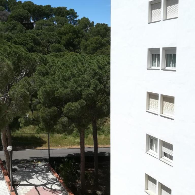 Bosmar Bosc 5-A - Apartamento con terraza - 6