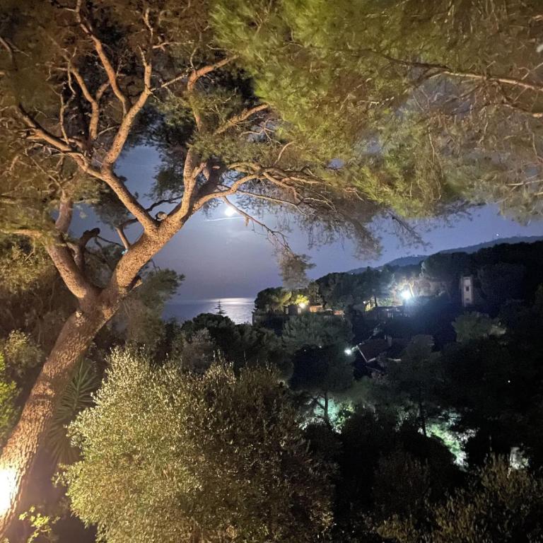 Appartamento in Villa a Pinamare - Villa con 2 Camere da Letto - 2
