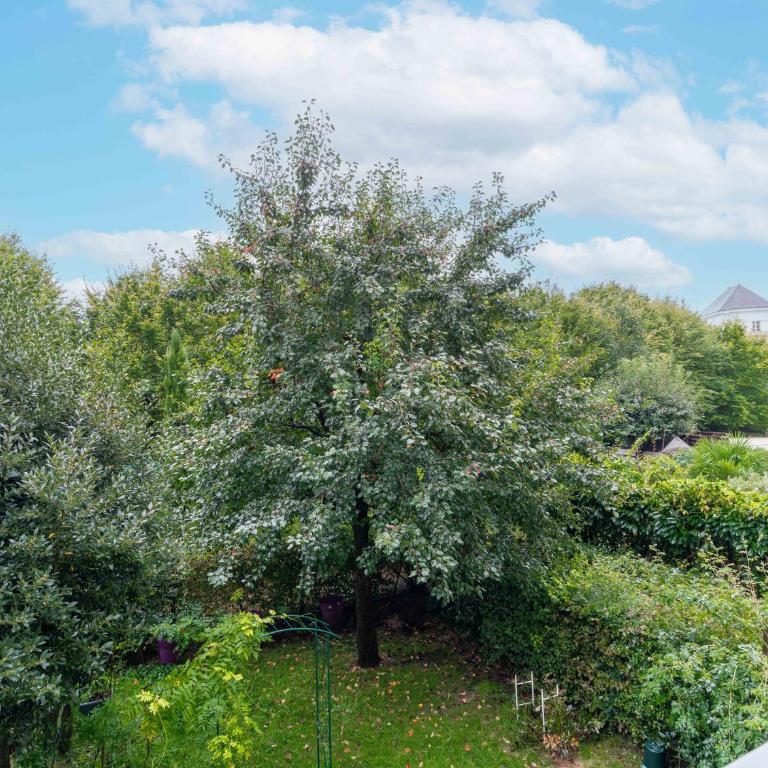 Cosy Appartement - Val d'Europe - Vallée Shopping - Disney - Apartment mit 3 Schlafzimmern - 27