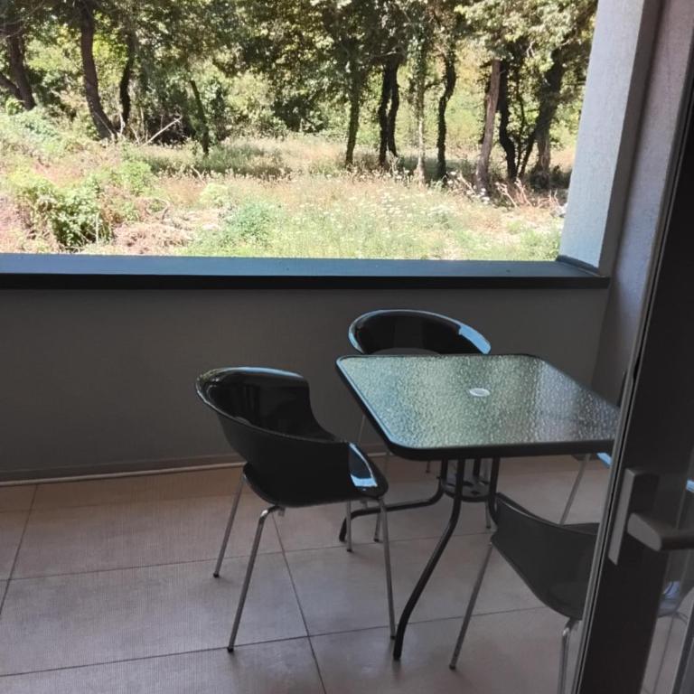 Apartmani Sutomore Tri Palme - Apartman sa 1 Spavaćom Sobom - 16