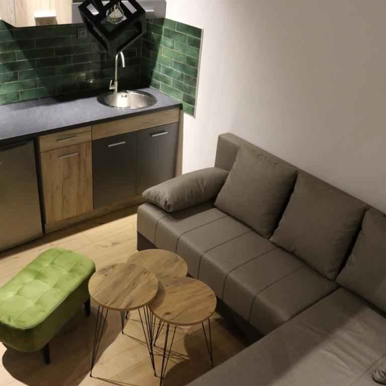 Central House Niš - One-Bedroom Apartment - 10