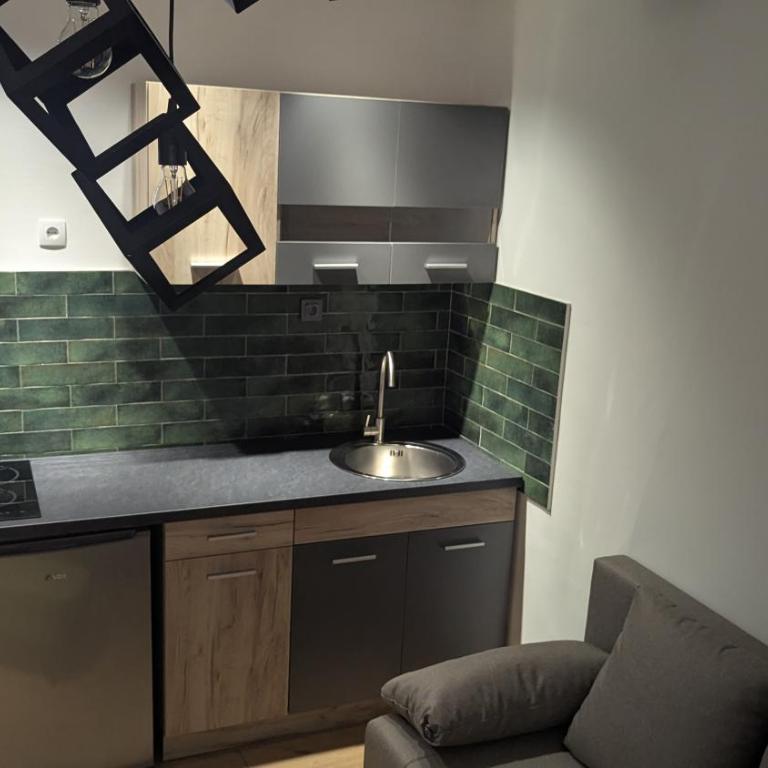 Central House Niš - One-Bedroom Apartment - 54