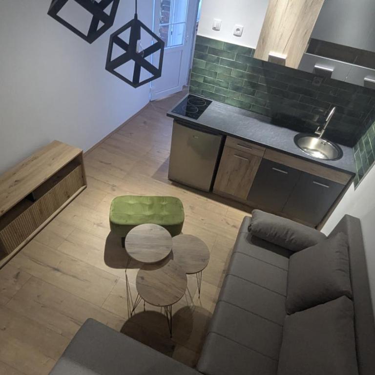 Central House Niš - One-Bedroom Apartment - 38