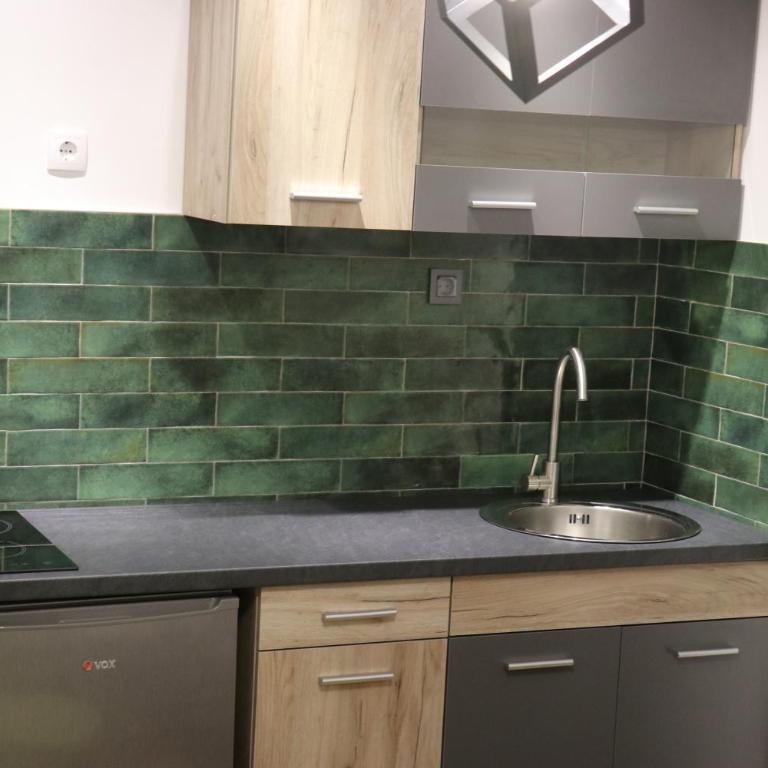 Central House Niš - One-Bedroom Apartment - 55