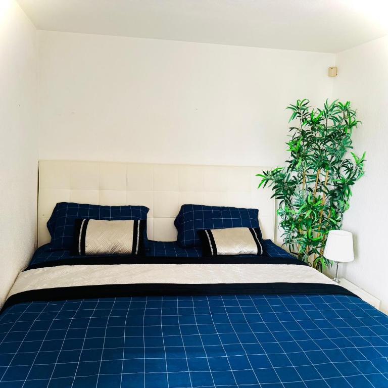 Oasis del Faro - Apartamento de 2 dormitorios - 11