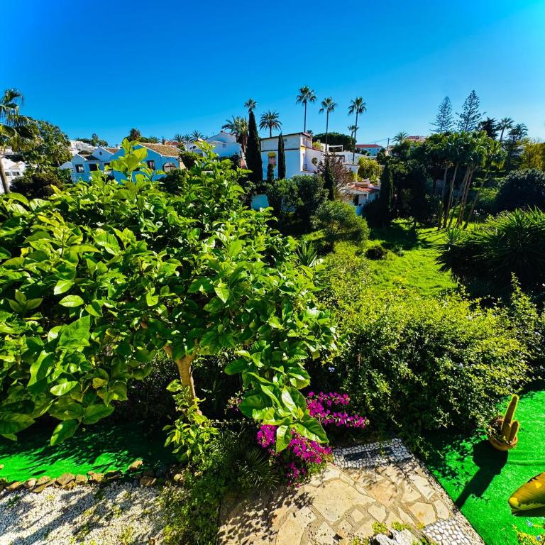 Oasis del Faro - Apartamento de 2 dormitorios - 12