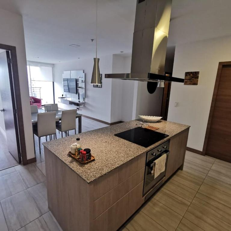Suite LUXE with view República del Salvador - One-Bedroom Apartment - 11