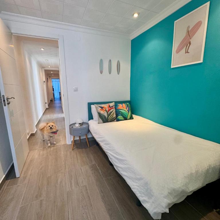 DJcumar Apartamento en Cullera comodo y bien ubicado - Three-Bedroom Apartment - 38
