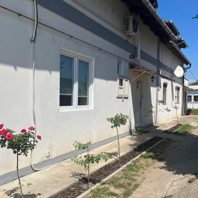 Rooms with private Bathroom & Free Parking ''Sobe Zoka,, - Dvokrevetna Soba sa Zasebnim Krevetima - 31