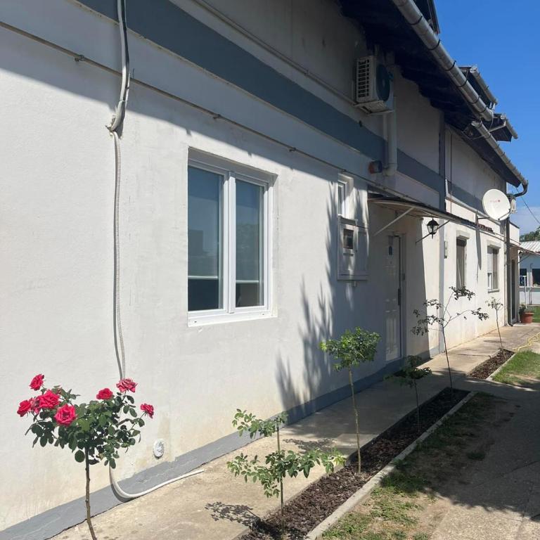 Rooms with private Bathroom & Free Parking ''Sobe Zoka,, - Dvokrevetna Soba sa Zasebnim Krevetima - 8