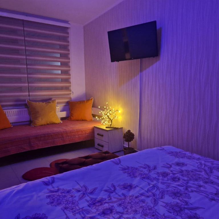 Apartmani Pejovic - One-Bedroom Apartment - 2