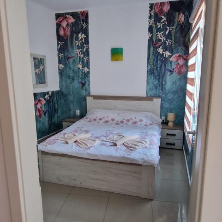 Apartmani Pejovic - One-Bedroom Apartment - 12