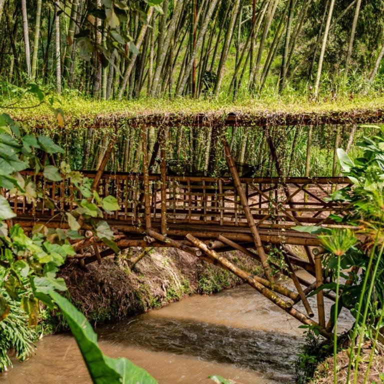 finca turística DanuBio Alojamiento Rural Pereira Risaralda - Villa - 49