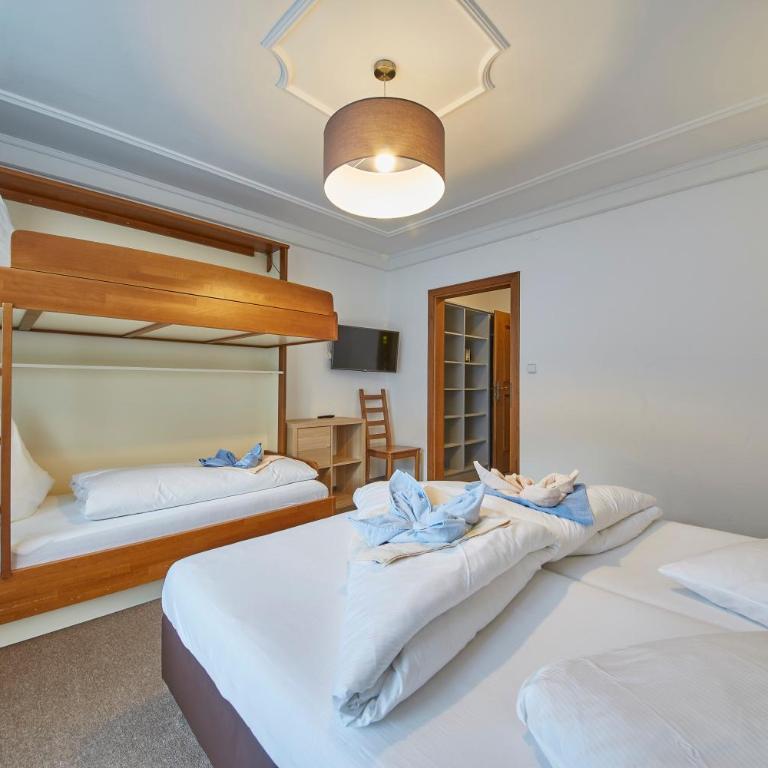 HIKE, BIKE & SKI GAMSHAG Hotel - inklusive Joker Card - Classic Vierbettzimmer - 1