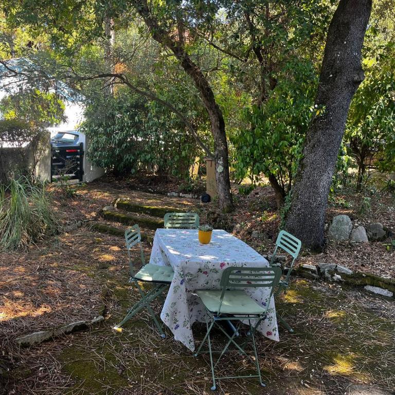La petite maison du Moulleau - Haus mit 3 Schlafzimmern - 3