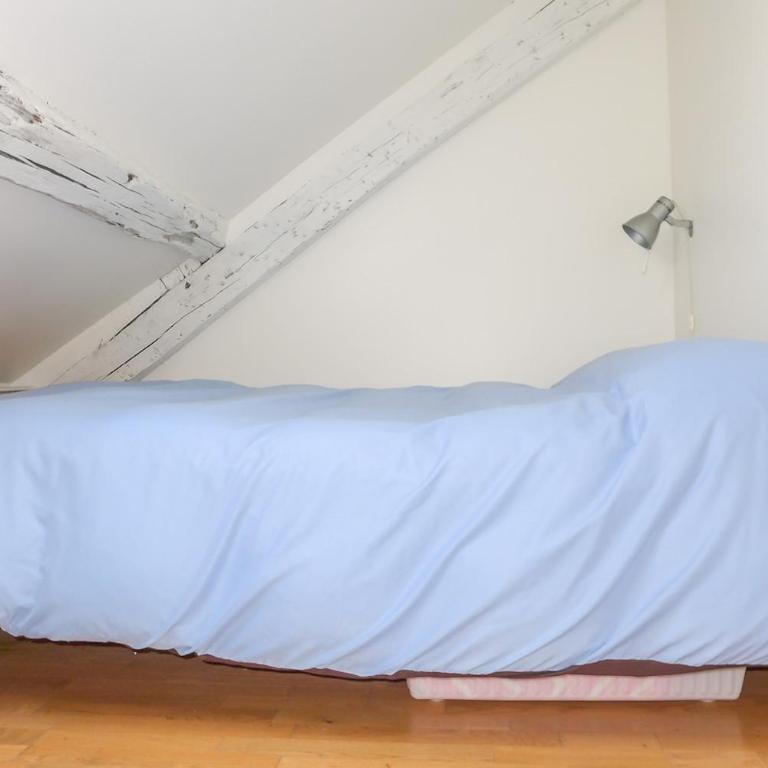 Saint Paul, rue Pavee, duplex - ID 1049 - Appartement - 14