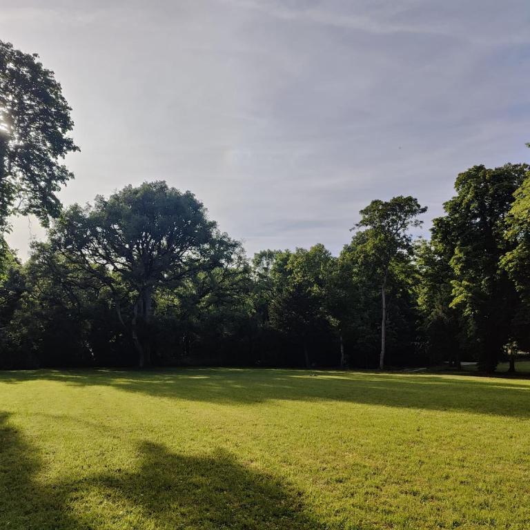 Le Château du Sollier - Charme calme et confort climatisation à 5mn du peage de Bourges à la campagne - stationnement privé - Chambre Double - Vue sur Jardin - 11