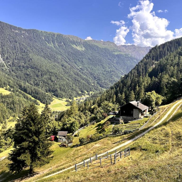 Grand Chalet du Mayen de Planraveire - Apartment - 2