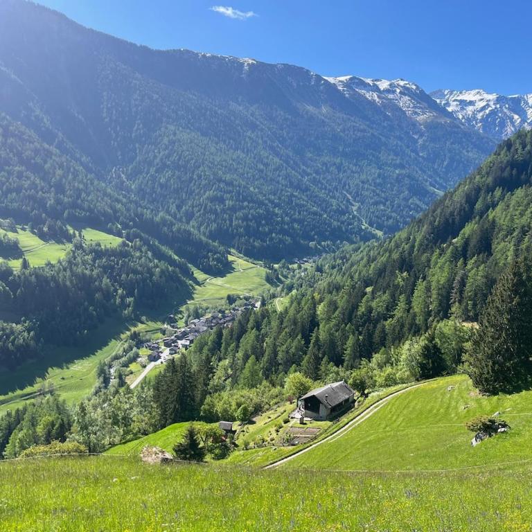 Grand Chalet du Mayen de Planraveire - Apartment - 1