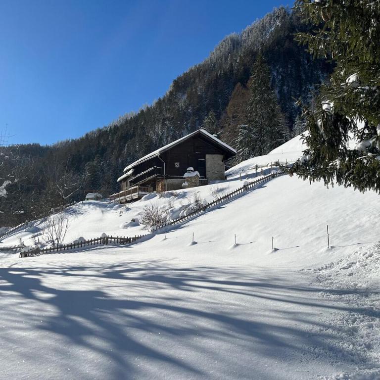 Grand Chalet du Mayen de Planraveire - Apartment - 4