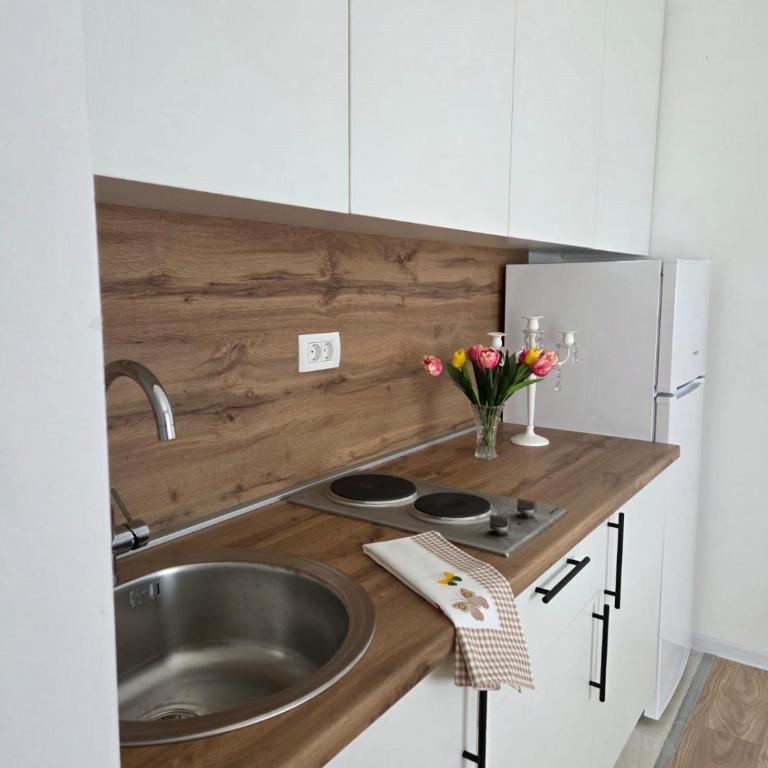 Apartmani Novak - One-Bedroom Apartment - 5