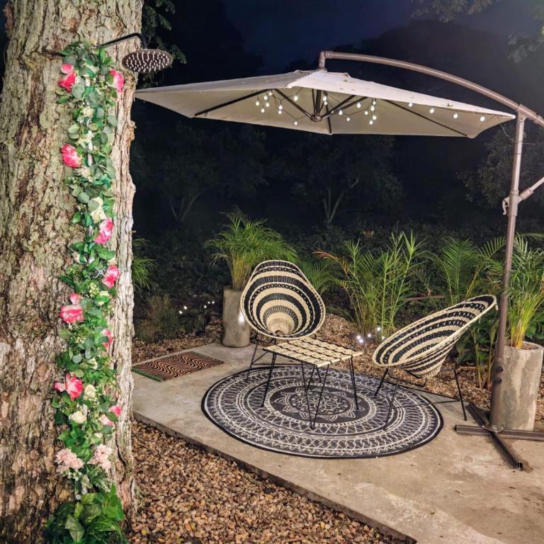 Novaglamp Alma, amor y bosque - Tienda - 2