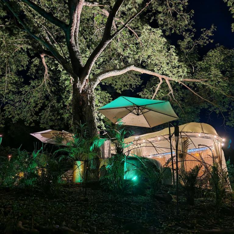Novaglamp Alma, amor y bosque - Tienda - 4