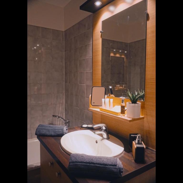 studio chic redécoré avec soin, idéal couples familles ou entre amis,parfait pour cure thermale ou séjour ski, wifi 180 chaines tv parking couvert - Studio avec Balcon - 15