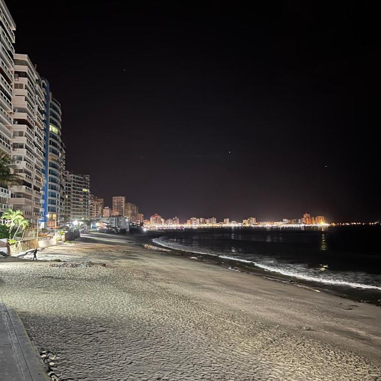 Dpto de Lujo al pie del mar, San Lorenzo Salinas - Apartamento - 31